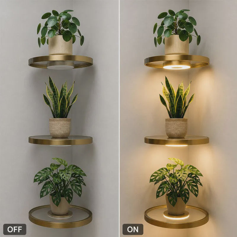Étagère murale suspendue avec éclairage LED d'ambiance - Présentoir moderne pour plantes