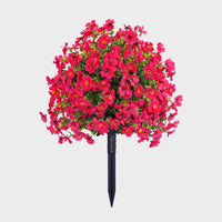 Rose rouge