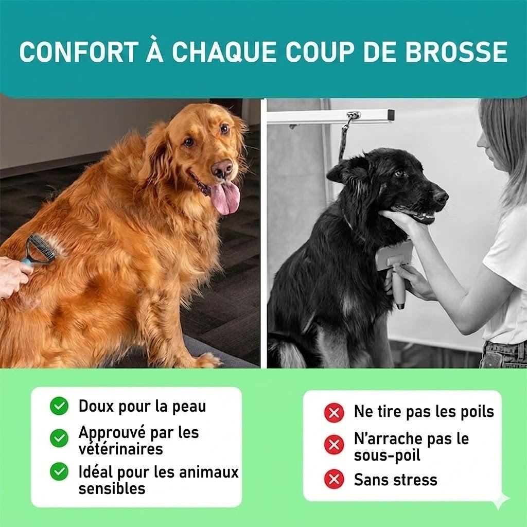 Brosse de Toilettage Double Face – Démêlage Doux & Anti-Perte de Poils (Chiens & Chats)