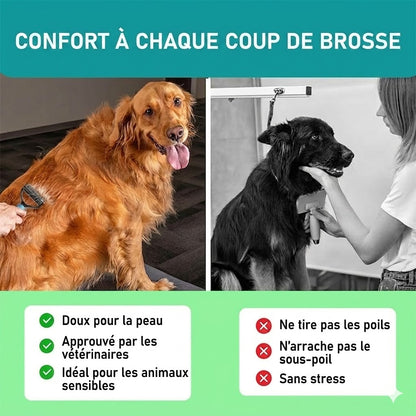 Brosse de Toilettage Double Face – Démêlage Doux & Anti-Perte de Poils (Chiens & Chats)