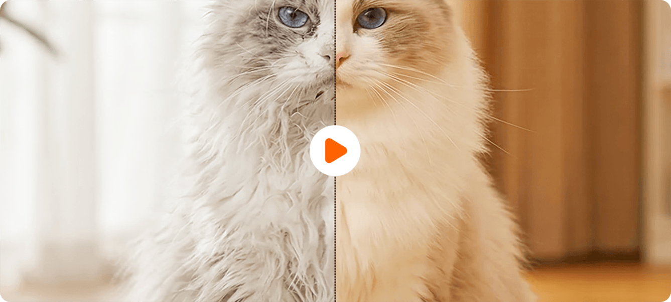 Démêloir Intelligent à Lames Sécurisées