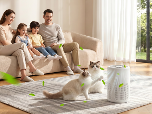 Purificateur d'Air Haute Efficacité pour la Maison – Filtre & Tablette Parfumée Inclus