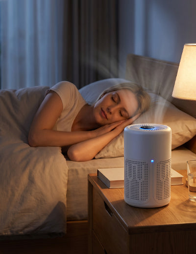 Purificateur d'Air Haute Efficacité pour la Maison – Filtre & Tablette Parfumée Inclus