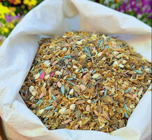 Mélange de Graines de Fleurs – Plus de 60 Variétés