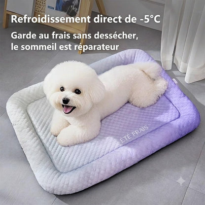 Tapis Rafraîchissant 3D pour Chiens & Chats – Lit d'Été Respirant avec Billes de Gel