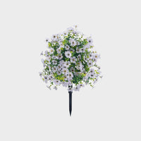 Blanc