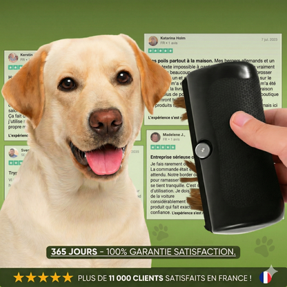 Brosse Professionnelle & Peigne de Débourrage – Réduit la perte de poils de 95% – Pour chiens à poils longs et courts