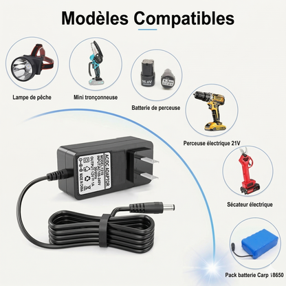 Chargeur de Batterie Lithium Universel – Chargeur Rapide pour Trottinette Électrique, Drone et Outillage (Certifié CE)