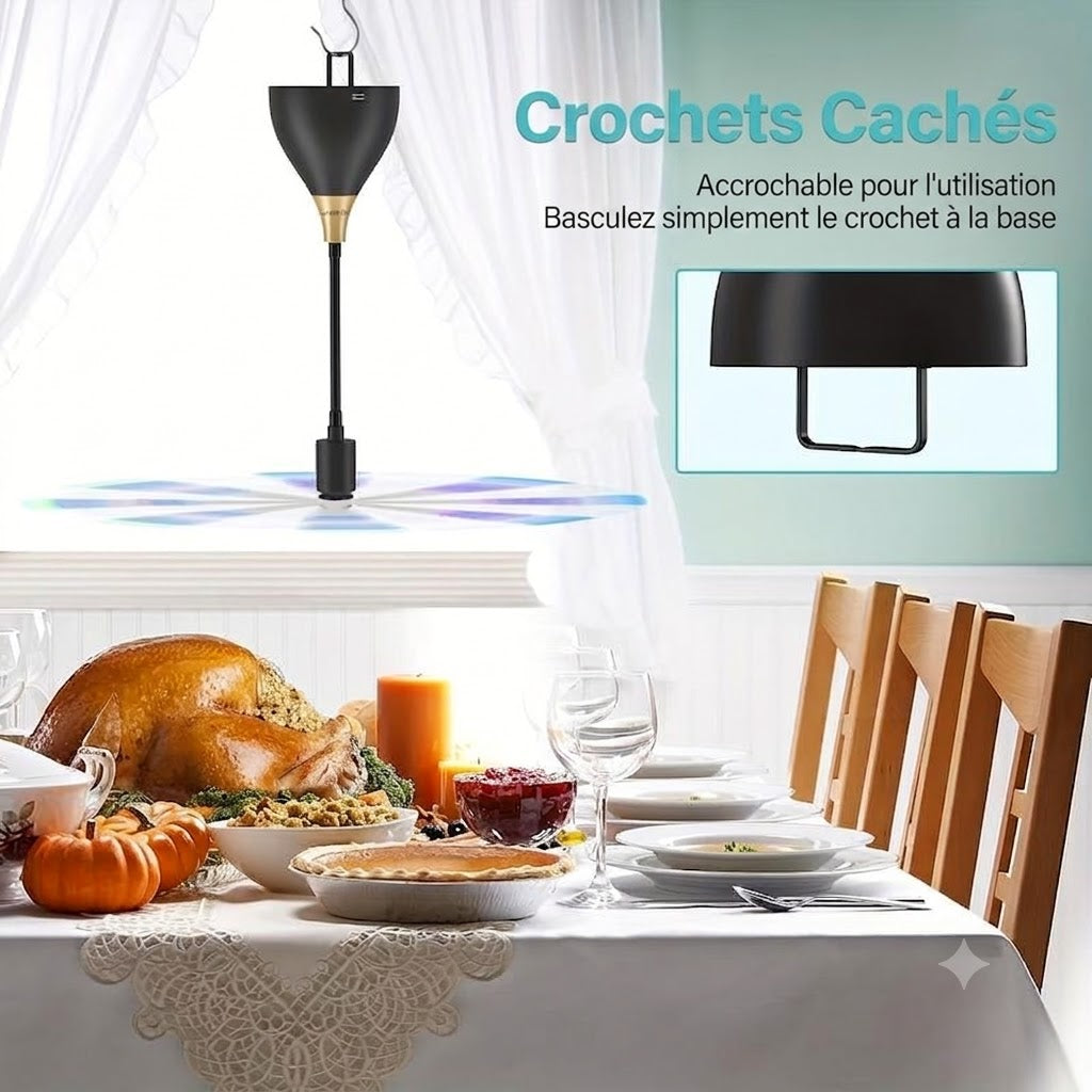 Ventilateur de table anti-mouches