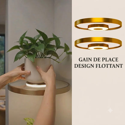 Étagère murale suspendue avec éclairage LED d'ambiance - Présentoir moderne pour plantes