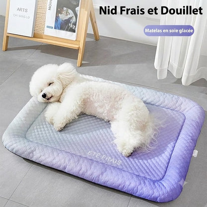 Tapis Rafraîchissant 3D pour Chiens & Chats – Lit d'Été Respirant avec Billes de Gel