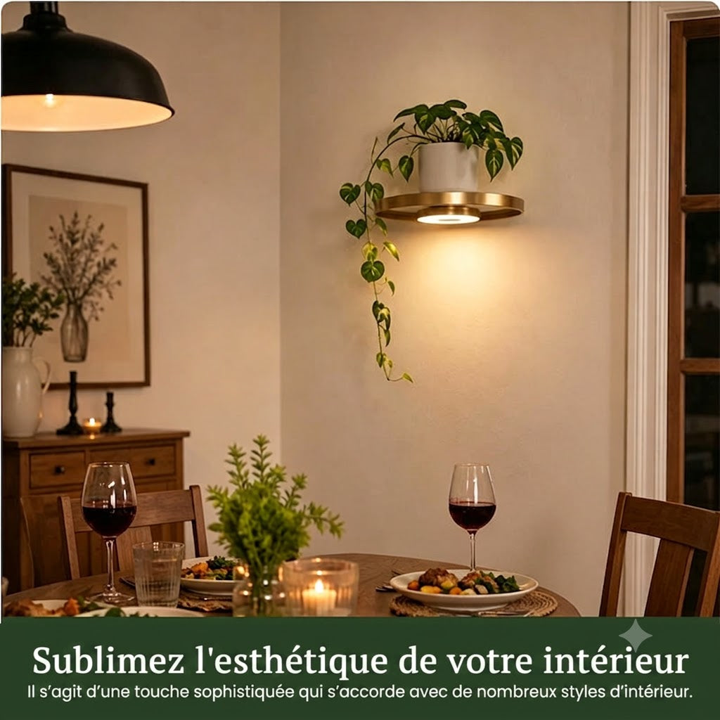 Étagère murale suspendue avec éclairage LED d'ambiance - Présentoir moderne pour plantes