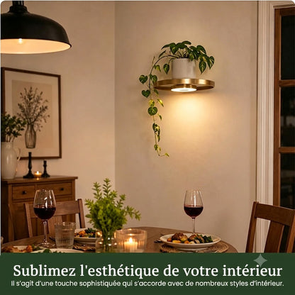 Étagère murale suspendue avec éclairage LED d'ambiance - Présentoir moderne pour plantes