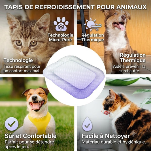 Tapis Rafraîchissant 3D pour Chiens & Chats – Lit d'Été Respirant avec Billes de Gel