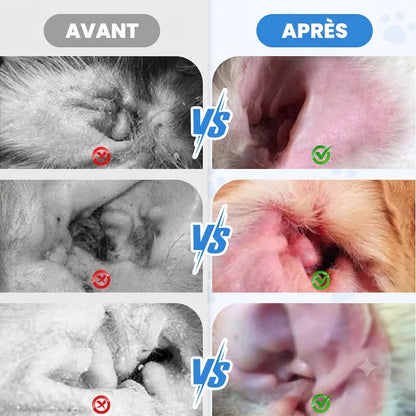 Nettoyant d'Oreilles pour Chiens & Chats – Lotion Auriculaire Douce et Apaisante