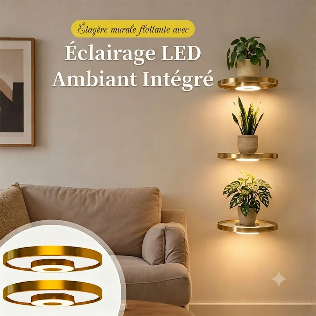 Étagère murale suspendue avec éclairage LED d'ambiance - Présentoir moderne pour plantes