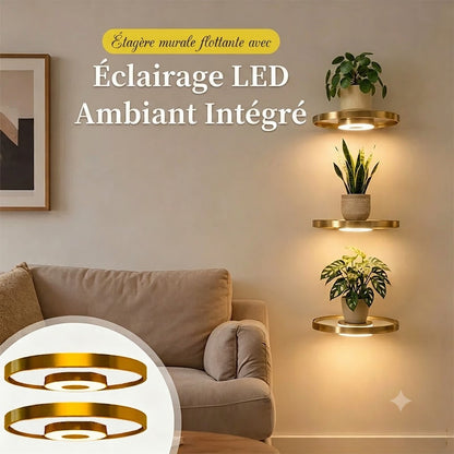 Étagère murale suspendue avec éclairage LED d'ambiance - Présentoir moderne pour plantes