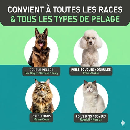 Brosse de Toilettage Double Face – Démêlage Doux & Anti-Perte de Poils (Chiens & Chats)