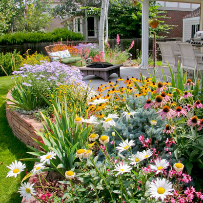 Mélange de Graines de Fleurs – Plus de 60 Variétés