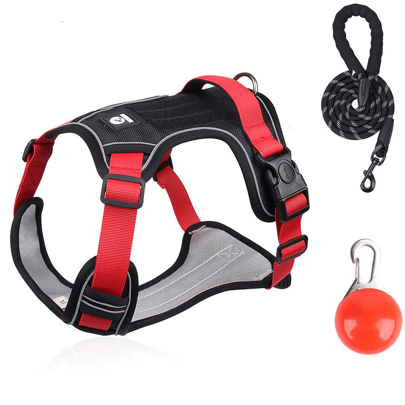 Pack Sécurité : Harnais Anti-Traction + Laisse + Collier LED – Confort Premium & Visibilité Nocturne