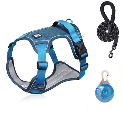 Pack Sécurité : Harnais Anti-Traction + Laisse + Collier LED – Confort Premium & Visibilité Nocturne