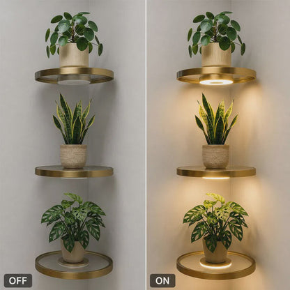Étagère murale suspendue avec éclairage LED d'ambiance - Présentoir moderne pour plantes